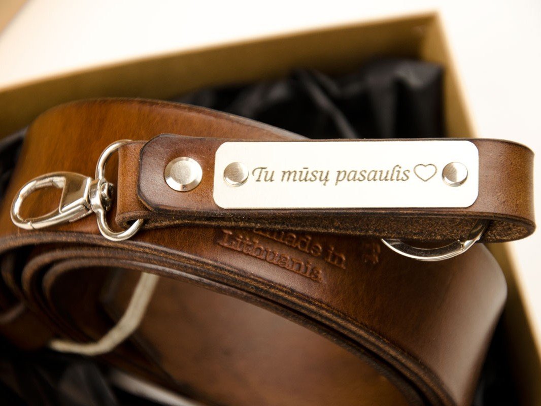 odinis rudas dirzas su pakabuku